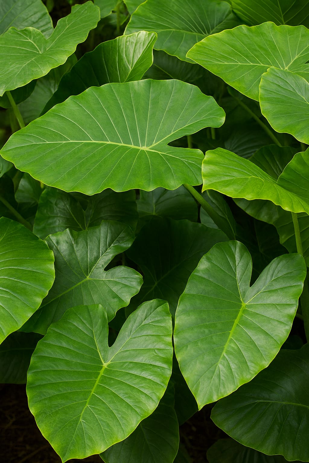 May Flowers Horticulture Installation 55